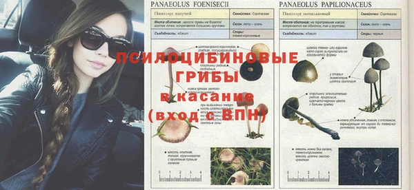 jwh Алексеевка
