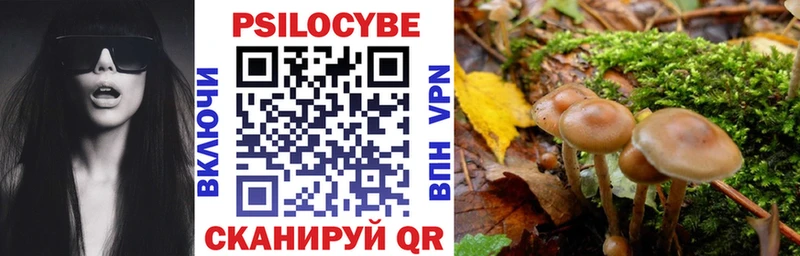 Галлюциногенные грибы Cubensis  Камбарка 